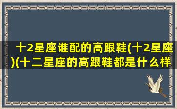 十2星座谁配的高跟鞋(十2星座)(十二星座的高跟鞋都是什么样子的)