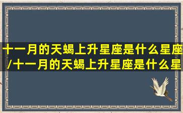 十一月的天蝎上升星座是什么星座/十一月的天蝎上升星座是什么星座-我的网站