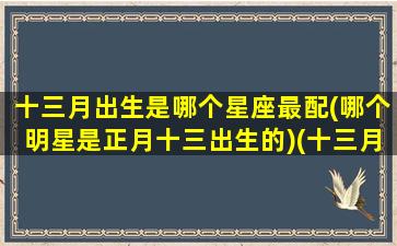 十三月出生是哪个星座最配(哪个明星是正月十三出生的)(十三月份是什么星座的)