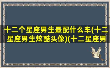 十二个星座男生最配什么车(十二星座男生炫酷头像)(十二星座男最佳配对)