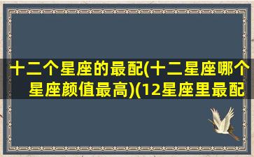 十二个星座的最配(十二星座哪个星座颜值最高)(12星座里最配的星座)