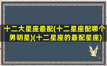 十二大星座最配(十二星座配哪个男明星)(十二星座的最配星座)