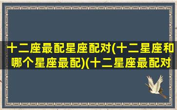 十二座最配星座配对(十二星座和哪个星座最配)(十二星座最配对的是哪几个星座)