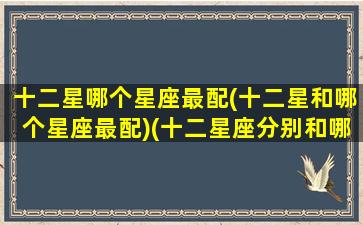 十二星哪个星座最配(十二星和哪个星座最配)(十二星座分别和哪个星座最配)