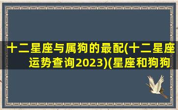 十二星座与属狗的最配(十二星座运势查询2023)(星座和狗狗的匹配值)