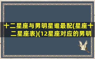 十二星座与男明星谁最配(星座十二星座表)(12星座对应的男明星是谁)