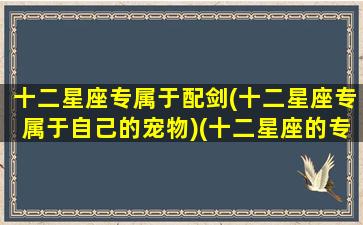 十二星座专属于配剑(十二星座专属于自己的宠物)(十二星座的专属名剑)