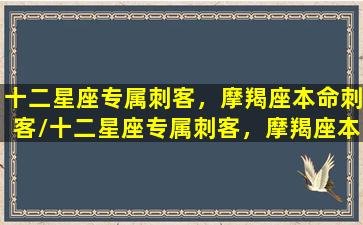 十二星座专属刺客，摩羯座本命刺客/十二星座专属刺客，摩羯座本命刺客-我的网站