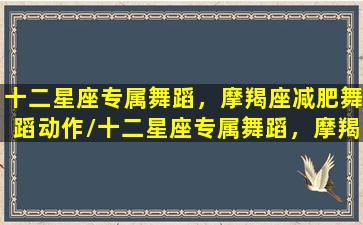 十二星座专属舞蹈，摩羯座减肥舞蹈动作/十二星座专属舞蹈，摩羯座减肥舞蹈动作-我的网站