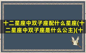 十二星座中双子座配什么星座(十二星座中双子座是什么公主)(十二星座双子座和什么星座最配)