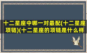 十二星座中哪一对最配(十二星座项链)(十二星座的项链是什么样子的)