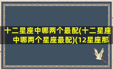 十二星座中哪两个最配(十二星座中哪两个星座最配)(12星座那两个最配)