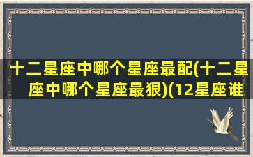 十二星座中哪个星座最配(十二星座中哪个星座最狠)(12星座谁最配)