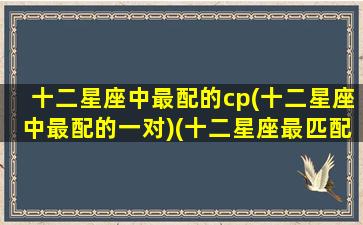 十二星座中最配的cp(十二星座中最配的一对)(十二星座最匹配的情侣)