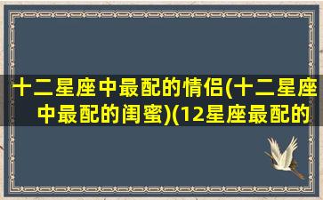 十二星座中最配的情侣(十二星座中最配的闺蜜)(12星座最配的一对)