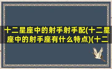 十二星座中的射手射手配(十二星座中的射手座有什么特点)(十二星座射手座和谁最匹配)