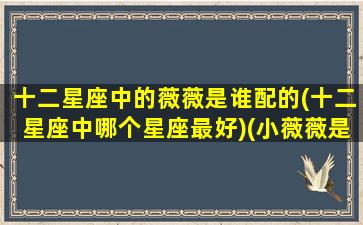 十二星座中的薇薇是谁配的(十二星座中哪个星座最好)(小薇薇是什么星座)