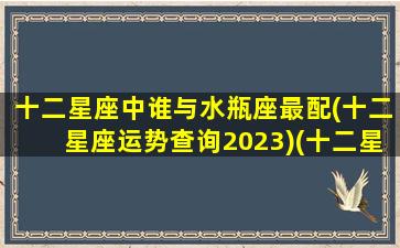 十二星座中谁与水瓶座最配(十二星座运势查询2023)(十二星座水瓶和谁最配)