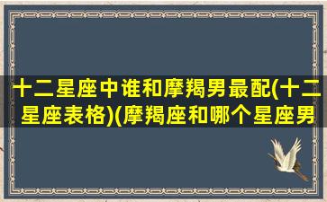 十二星座中谁和摩羯男最配(十二星座表格)(摩羯座和哪个星座男最配)