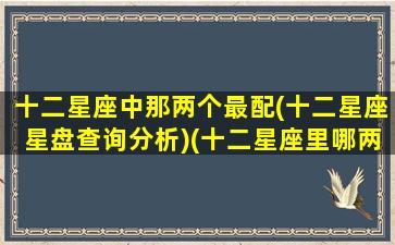 十二星座中那两个最配(十二星座星盘查询分析)(十二星座里哪两个星座最配)