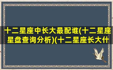 十二星座中长大最配谁(十二星座星盘查询分析)(十二星座长大什么星座最漂亮)