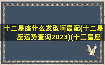 十二星座什么发型啊最配(十二星座运势查询2023)(十二星座最合适的发型)