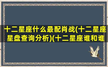 十二星座什么最配肖战(十二星座星盘查询分析)(十二星座谁和谁最配大全)