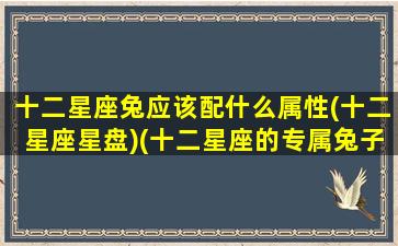 十二星座兔应该配什么属性(十二星座星盘)(十二星座的专属兔子是什么样的)