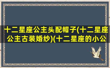 十二星座公主头配帽子(十二星座公主古装婚纱)(十二星座的小公主头型)