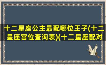 十二星座公主最配哪位王子(十二星座宫位查询表)(十二星座配对的公主)