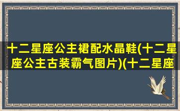 十二星座公主裙配水晶鞋(十二星座公主古装霸气图片)(十二星座的公主裙是什么样子的)