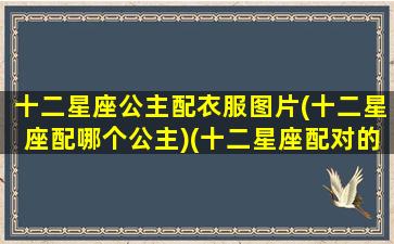 十二星座公主配衣服图片(十二星座配哪个公主)(十二星座配对的公主)