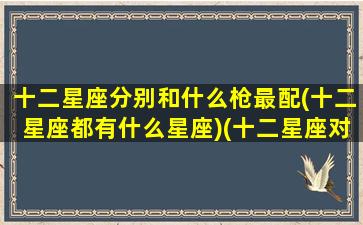 十二星座分别和什么枪最配(十二星座都有什么星座)(十二星座对应的长枪)