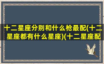 十二星座分别和什么枪最配(十二星座都有什么星座)(十二星座配对武器)