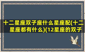 十二星座双子座什么星座配(十二星座都有什么)(12星座的双子座)