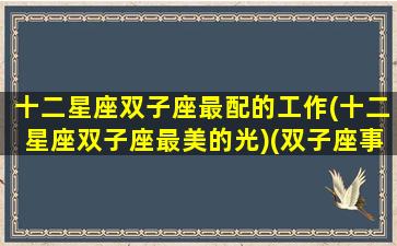 十二星座双子座最配的工作(十二星座双子座最美的光)(双子座事业搭档星座)