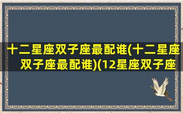 十二星座双子座最配谁(十二星座双子座最配谁)(12星座双子座排名)