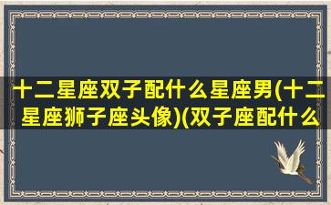 十二星座双子配什么星座男(十二星座狮子座头像)(双子座配什么星座的男朋友)