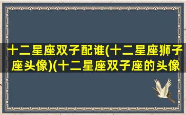 十二星座双子配谁(十二星座狮子座头像)(十二星座双子座的头像)