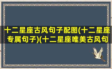 十二星座古风句子配图(十二星座专属句子)(十二星座唯美古风句子简短)