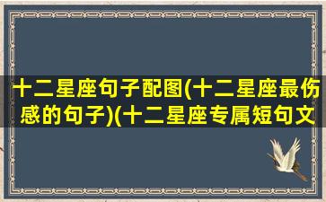 十二星座句子配图(十二星座最伤感的句子)(十二星座专属短句文案)