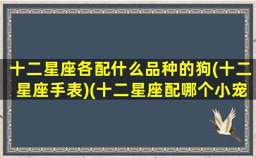 十二星座各配什么品种的狗(十二星座手表)(十二星座配哪个小宠物)