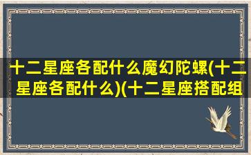 十二星座各配什么魔幻陀螺(十二星座各配什么)(十二星座搭配组合)