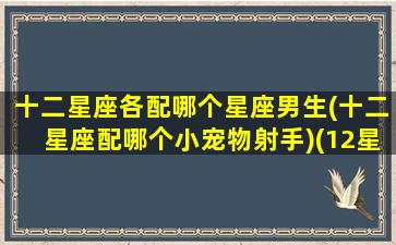 十二星座各配哪个星座男生(十二星座配哪个小宠物射手)(12星座配什么男朋友)