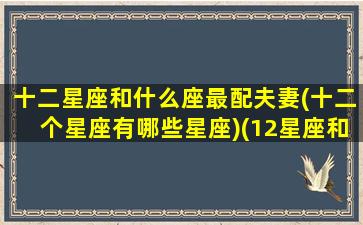 十二星座和什么座最配夫妻(十二个星座有哪些星座)(12星座和什么座最配对)