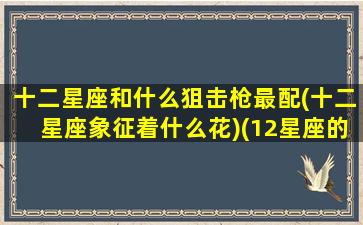 十二星座和什么狙击枪最配(十二星座象征着什么花)(12星座的专属狙击枪)