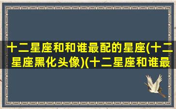 十二星座和和谁最配的星座(十二星座黑化头像)(十二星座和谁最搭配)