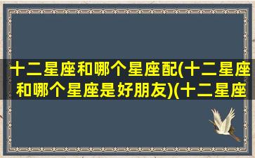 十二星座和哪个星座配(十二星座和哪个星座是好朋友)(十二星座和谁配在一起)