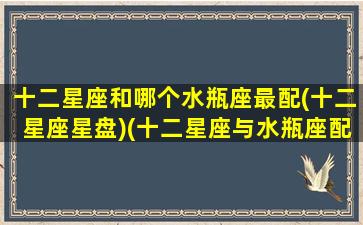 十二星座和哪个水瓶座最配(十二星座星盘)(十二星座与水瓶座配对排名)