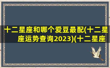 十二星座和哪个爱豆最配(十二星座运势查询2023)(十二星座跟谁最配恋爱)